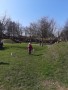 IMG-20250321-WA0052
