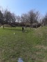 IMG-20250321-WA0055