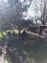 IMG-20250321-WA0060
