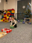 272042500_702087377623826_4397894873257132575_n