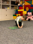 272060689_507300810819283_6724157974204283043_n