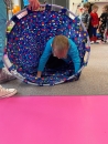 IMG-20240229-WA0012