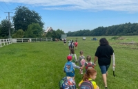 Koťátka u poníků 2024