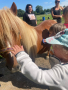 WhatsApp Image 2024-06-12 at 13.17.52(1)