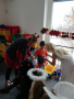 IMG_20211206_103359