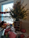IMG_20221215_084251