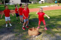 9531e384-d3a2-4ae7-a2cd-0ca5eaca6e0c