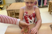 eb0bb3ff-9834-4a7c-b80d-eb0c58dd4444