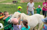 286118471_738859323823045_7465742428950283045_n