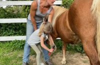 286937471_1073609243363621_5526416245581867727_n