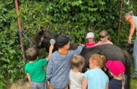 286972659_1858698841188099_3448958118283198467_n