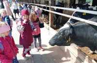 494355481_670134985975031_8422554988359387635_n