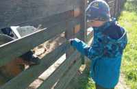 494355798_1258700999153168_2412971421296674948_n