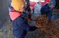 494355896_1704952850139504_909702999391269747_n