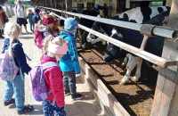 494356386_2449601228735728_997876115311693522_n