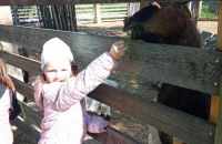 494356782_4123847287895204_7863310340675960130_n