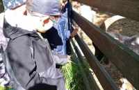 494357328_562728900204676_9019927671134100710_n