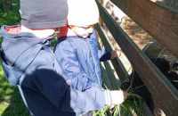 494357676_2450230288649043_5830320697523949598_n