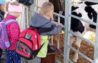 494357743_604030289363961_6160251979871106774_n