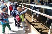 494357746_617901677968648_2911234229358088829_n