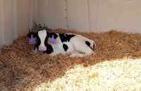 494358239_1601250557096037_2049309810461279042_n