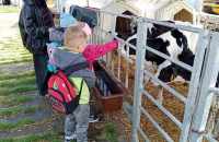 494358582_651322341232423_685591140564333949_n