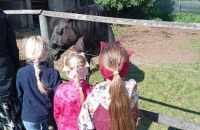 494358621_2466335913725208_8653857189304698339_n