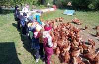 494359507_1221231409600840_5418823992735998161_n