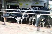 494359611_701171642471970_1851027271382792904_n