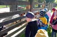 494359930_2121466591610018_202374590623402157_n