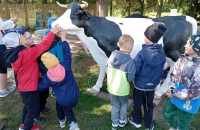 494361027_623892563989150_1522846589046336231_n