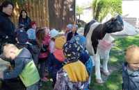 494361642_2210322212718337_8539085174319482563_n