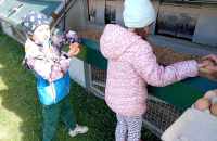 494819298_691826980460096_3379042240157102751_n