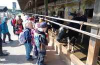 494823525_4094784527444073_8698598850325742679_n