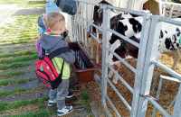 494830733_1024159965975978_8665472639135245724_n