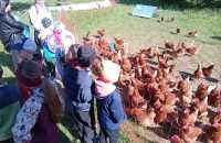 494830893_713041974428368_8677883009519921787_n