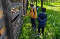 IMG_20250505_095010_1