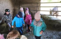 IMG_20250505_103751
