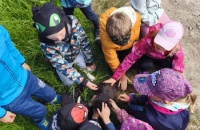 IMG_20250505_104254