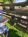 IMG_20250505_094719