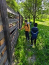 IMG_20250505_095010_1