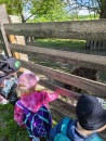 IMG_20250505_095102