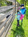 IMG_20250505_095452