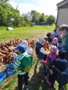 IMG_20250505_100210