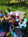 IMG_20250505_101050