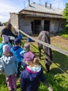 IMG_20250505_102355