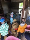 IMG_20250505_103119