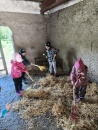 IMG_20250505_103127
