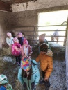 IMG_20250505_103749