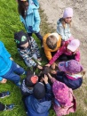 IMG_20250505_104254